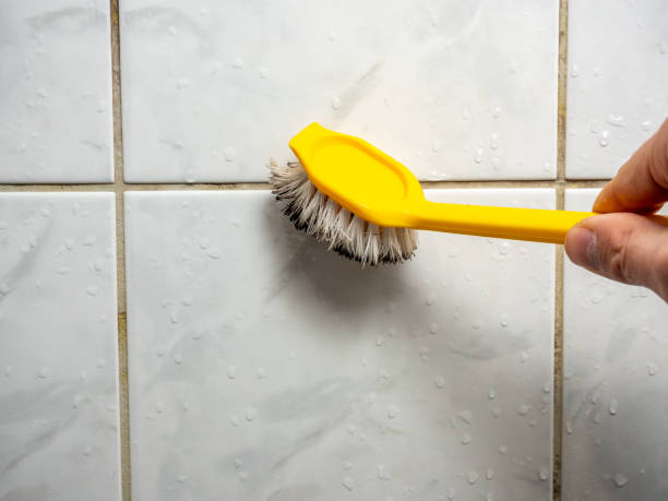  Melissa, TX Mold Removal Pros