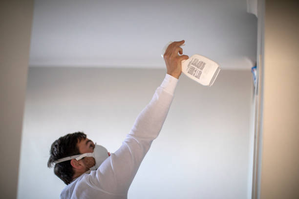 Best Mold Removal Company Near Me  in Melissa, TX