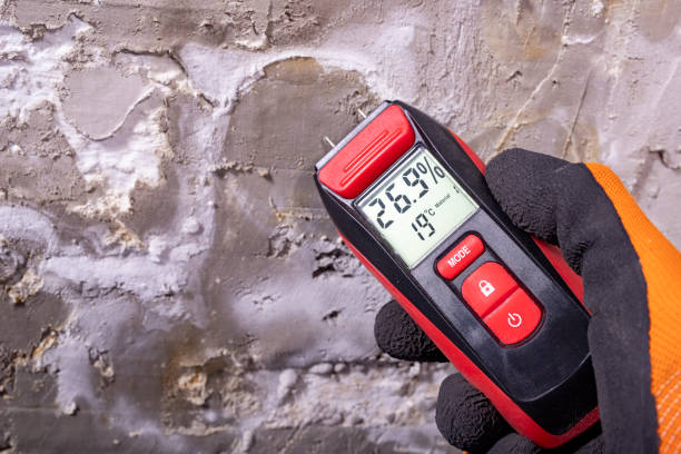 Best Commercial Mold Removal  in Melissa, TX