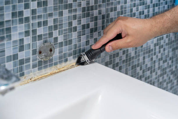 Best Mold Cleaning Services  in Melissa, TX