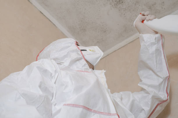 Best Local Mold Removal Service  in Melissa, TX
