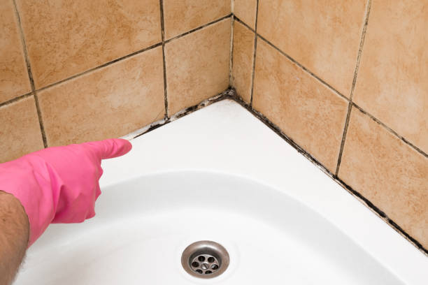 Best Emergency Mold Removal  in Melissa, TX